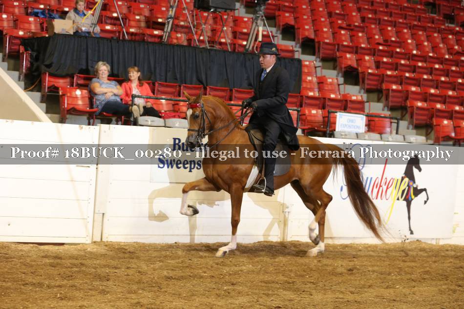Proof 18BUCK_00280