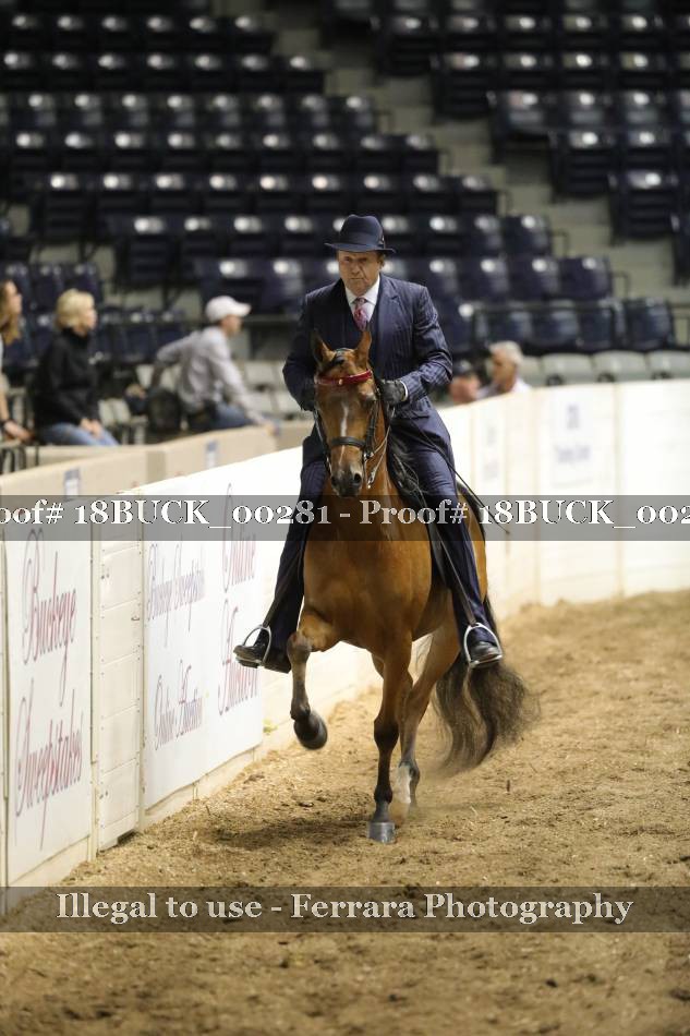 Proof 18BUCK_00281