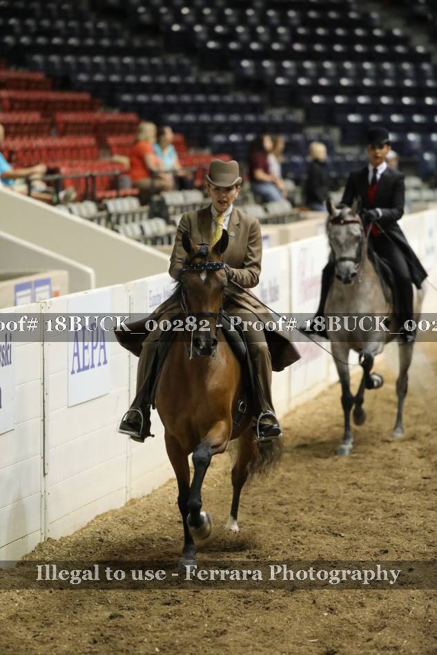 Proof 18BUCK_00282