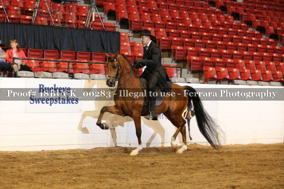 Proof 18BUCK_00283