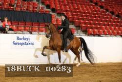 18BUCK_00283 proof