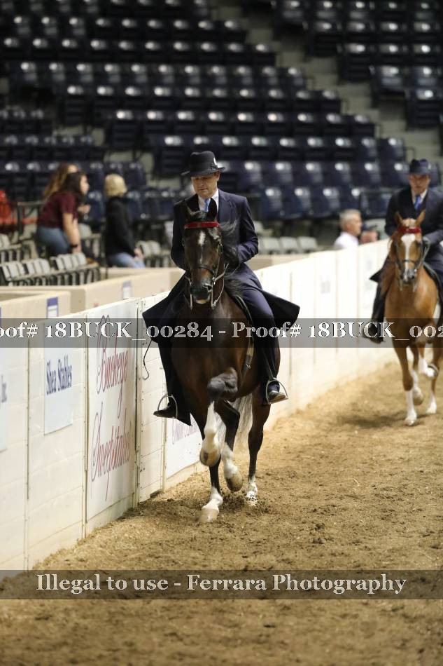 Proof 18BUCK_00284