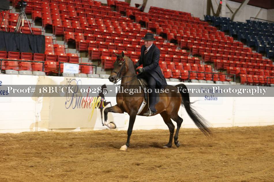 Proof 18BUCK_00285