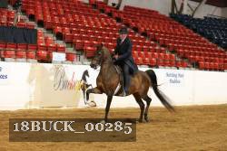 18BUCK_00285 proof
