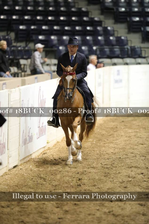 Proof 18BUCK_00286