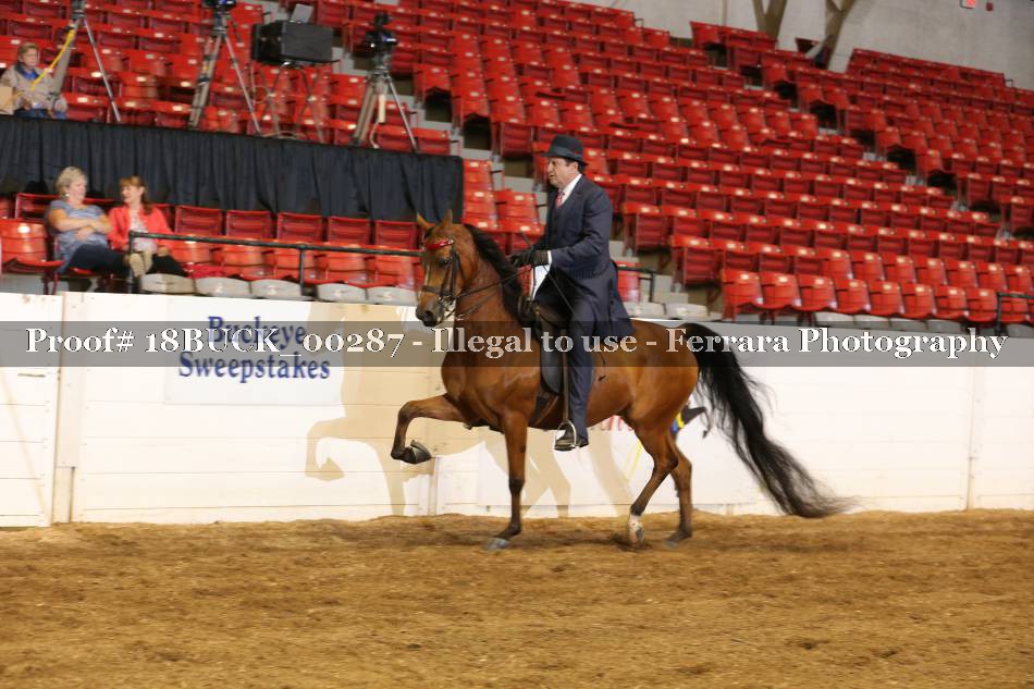 Proof 18BUCK_00287