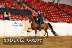 18BUCK_00287 proof
