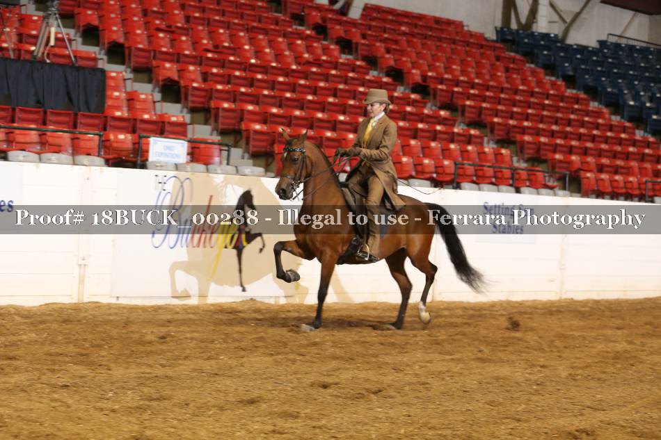 Proof 18BUCK_00288