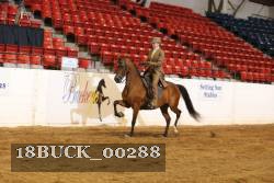 18BUCK_00288 proof