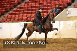 18BUCK_00289 proof
