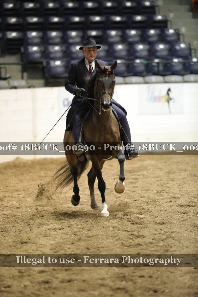 Proof 18BUCK_00290