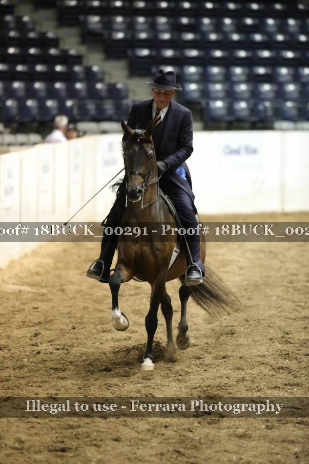 Proof 18BUCK_00291