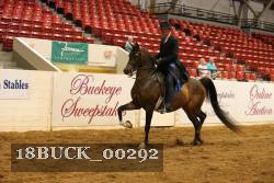 18BUCK_00292 proof