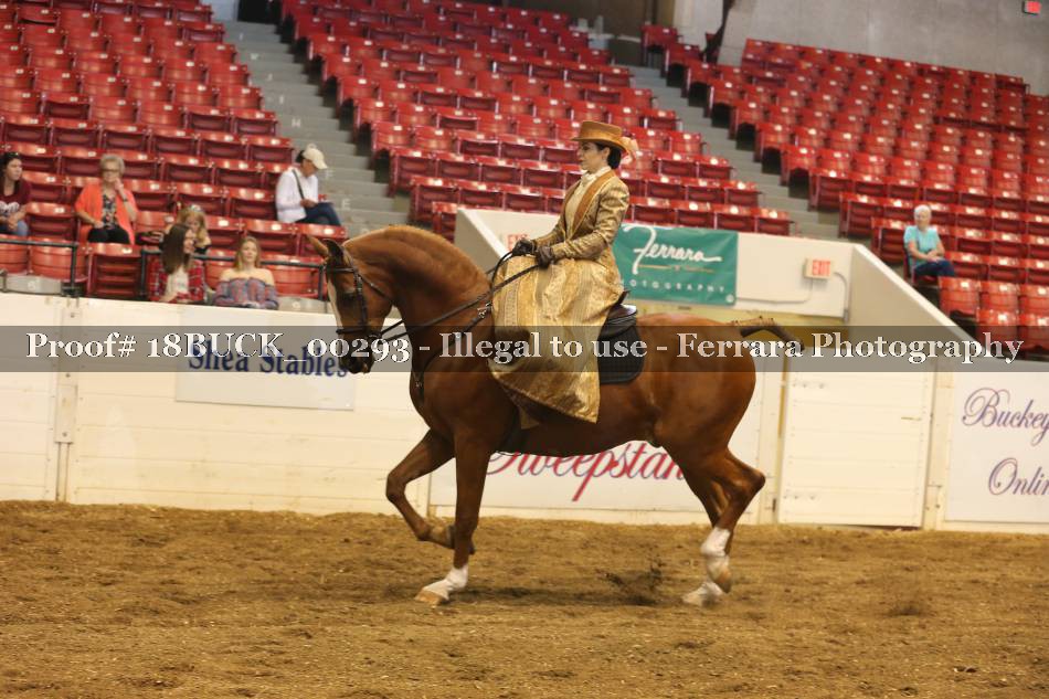 Proof 18BUCK_00293