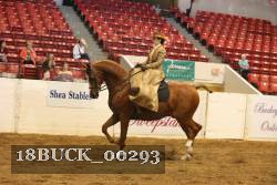 18BUCK_00293 proof