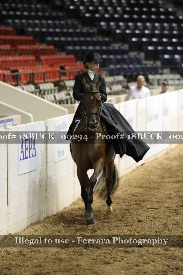 Proof 18BUCK_00294