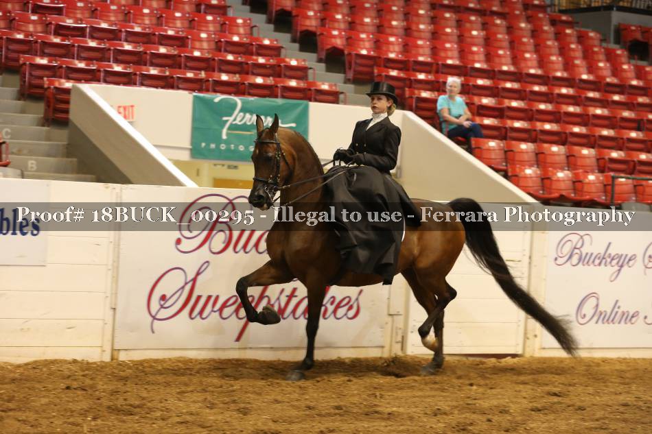 Proof 18BUCK_00295