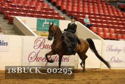 18BUCK_00295 proof