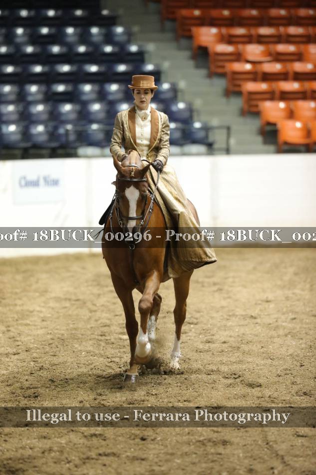 Proof 18BUCK_00296