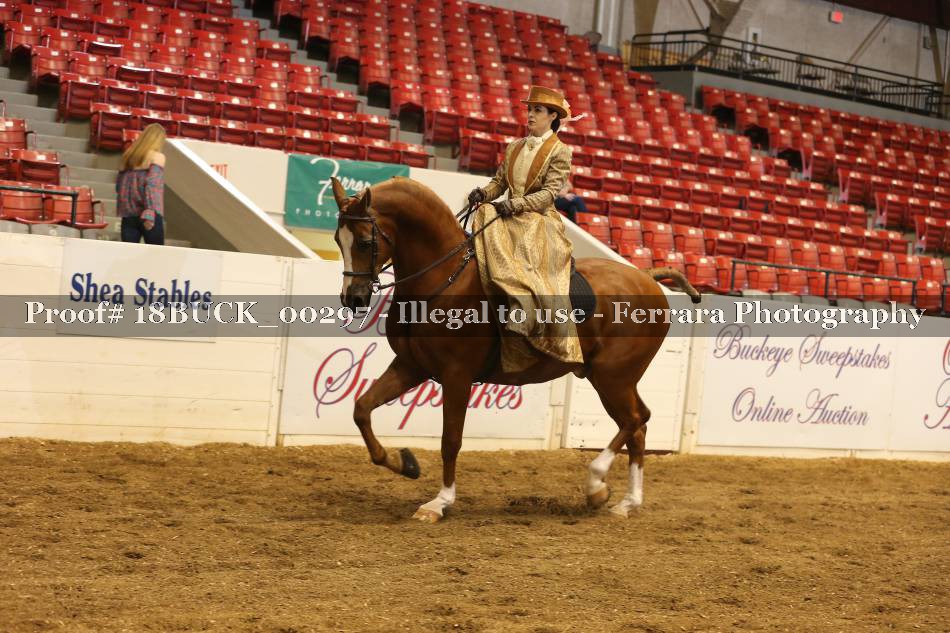 Proof 18BUCK_00297
