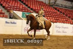 18BUCK_00297 proof
