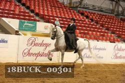 18BUCK_00301 proof