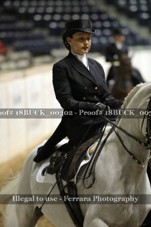 Proof 18BUCK_00302