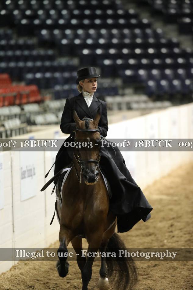 Proof 18BUCK_00303