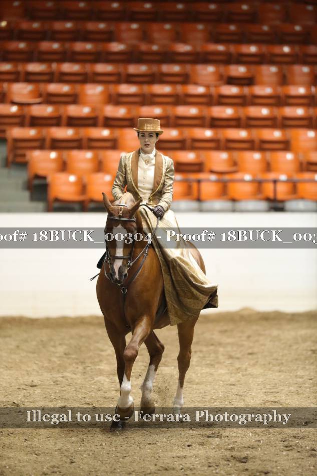 Proof 18BUCK_00304