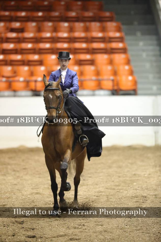 Proof 18BUCK_00305