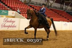 18BUCK_00307 proof