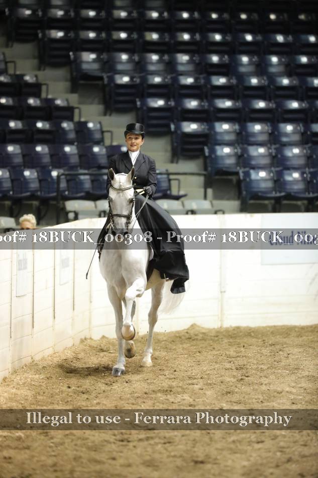 Proof 18BUCK_00308