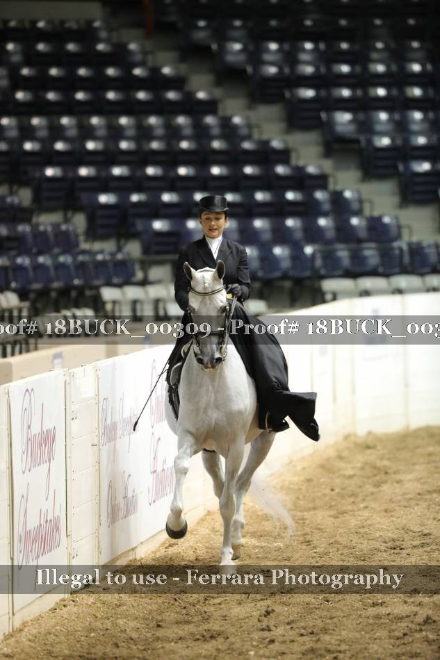 Proof 18BUCK_00309
