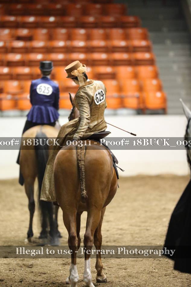 Proof 18BUCK_00311