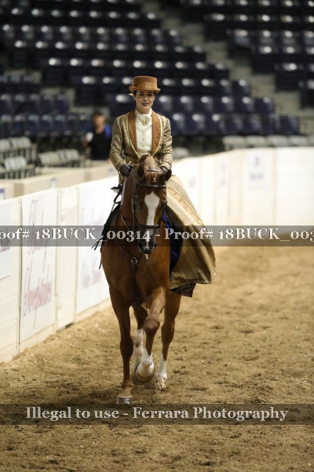 Proof 18BUCK_00314
