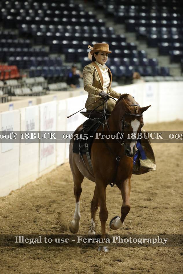 Proof 18BUCK_00315