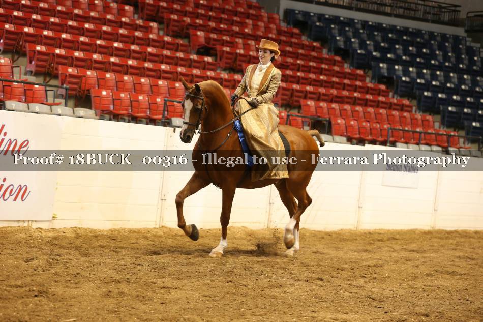 Proof 18BUCK_00316