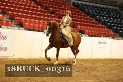 18BUCK_00316 proof