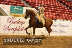 18BUCK_00317 proof