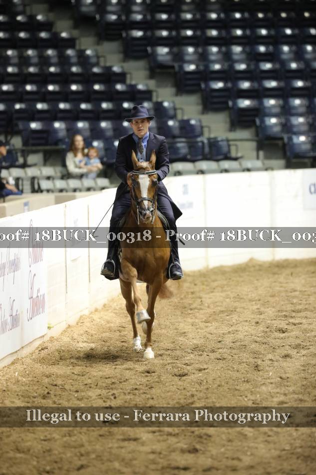 Proof 18BUCK_00318