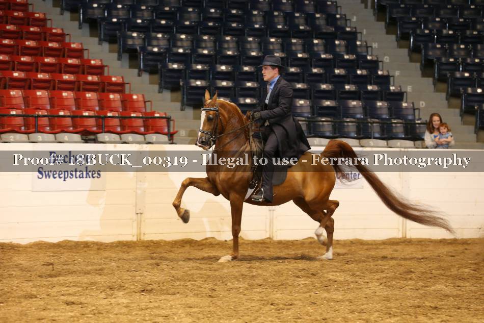 Proof 18BUCK_00319