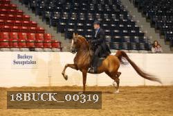 18BUCK_00319 proof