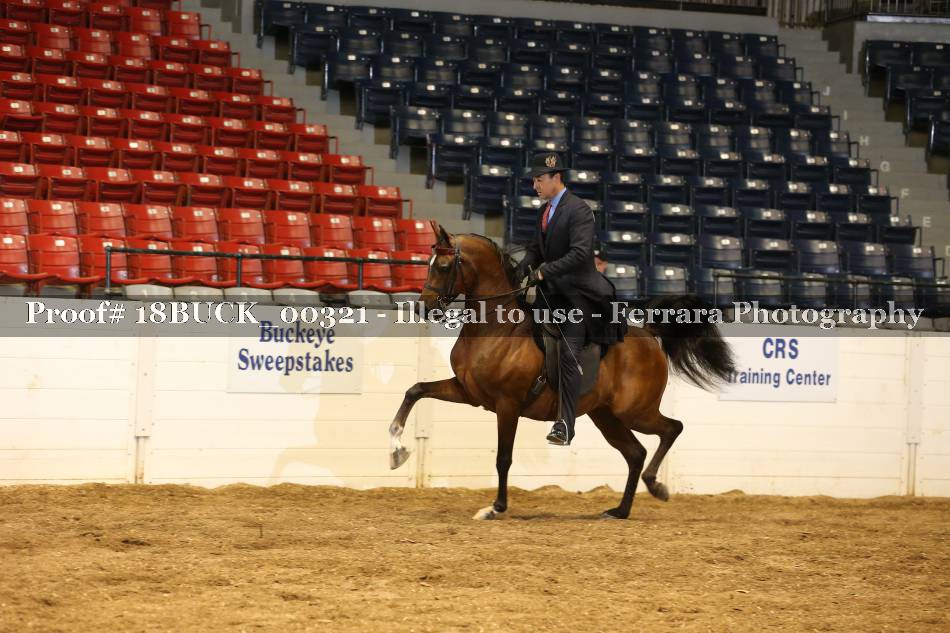 Proof 18BUCK_00321