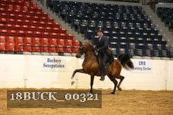 18BUCK_00321 proof