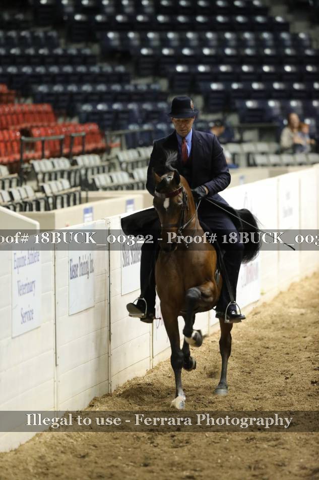 Proof 18BUCK_00322