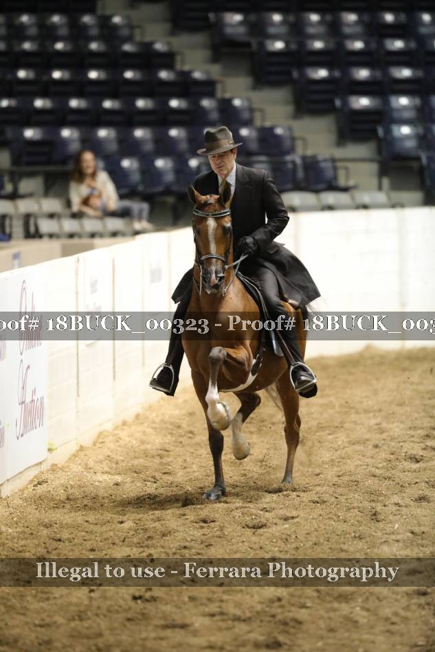 Proof 18BUCK_00323