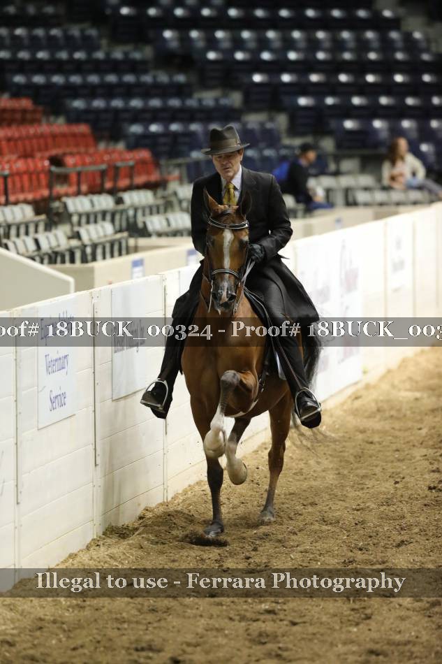 Proof 18BUCK_00324