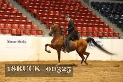 18BUCK_00325 proof