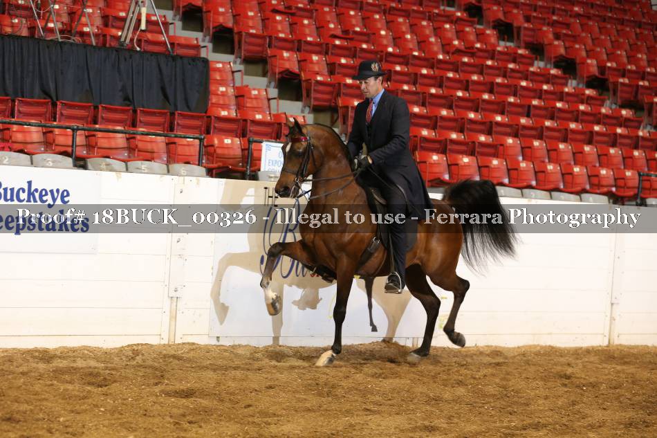 Proof 18BUCK_00326