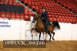 18BUCK_00326 proof
